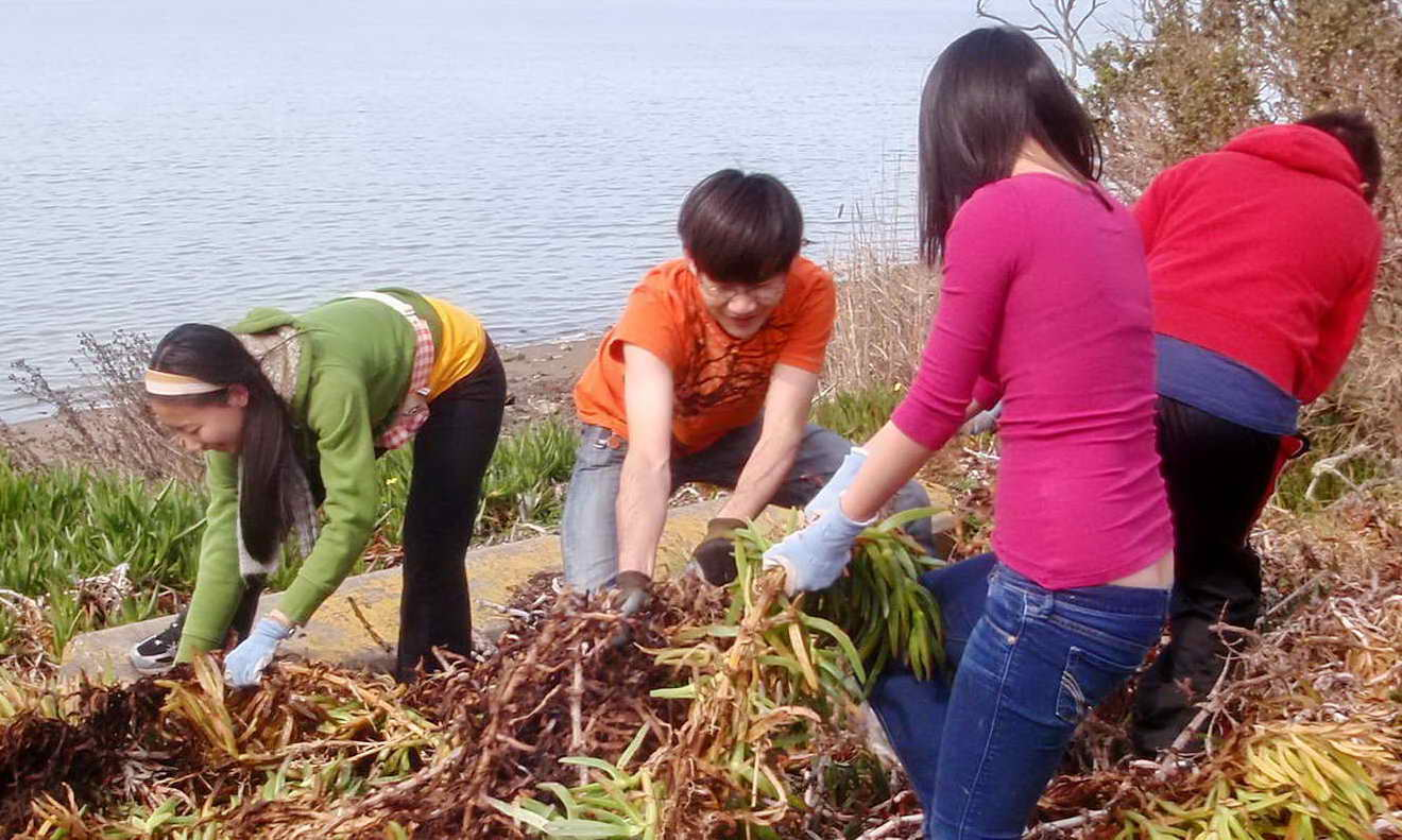 Circle K volunteers pull ice plant at North Basin