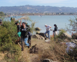 Each work party made a little progress. This was 2009. Volunteers pulling out broom